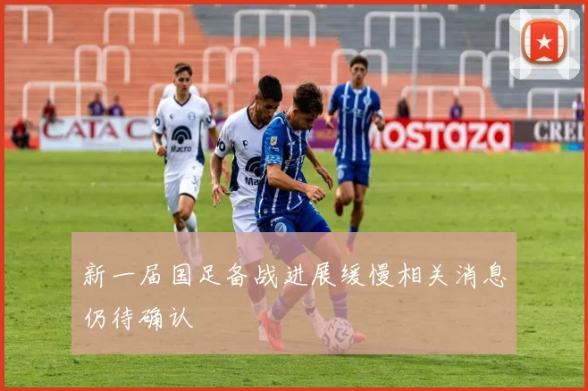 新一届国足备战进展缓慢相关消息仍待确认