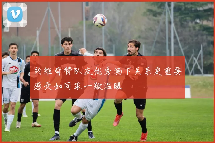 约维奇赞队友优秀场下关系更重要感受如同家一般温暖
