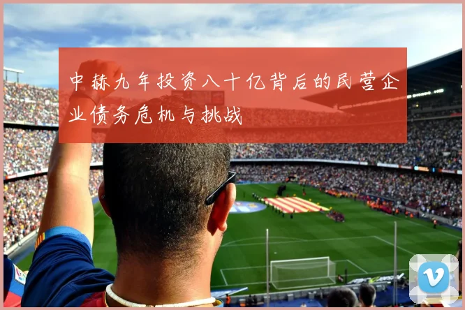 中赫九年投资八十亿背后的民营企业债务危机与挑战