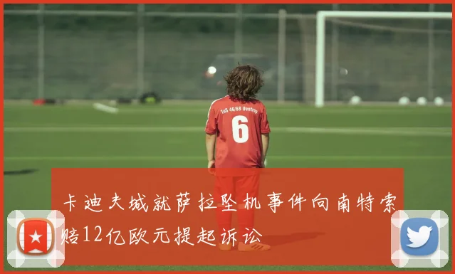 卡迪夫城就萨拉坠机事件向南特索赔12亿欧元提起诉讼